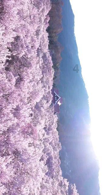 兴安:清廉建设全域“开花”