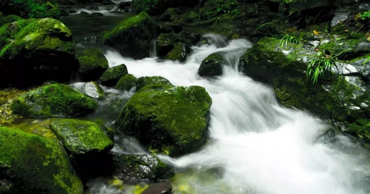 品美食赏美景 欢乐山水间 永泰嵩口《春宴》花絮“出”来啦！