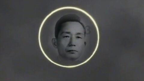 这样“孤独式烹饪”,早就被淘汰了